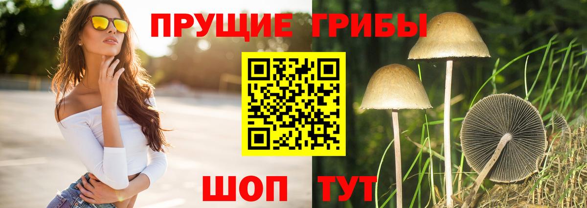 Псилоцибиновые грибы прущие грибы  Вход с VPN  магазин продажи   Ялуторовск  Псилоцибиновые грибы Psilocybe 